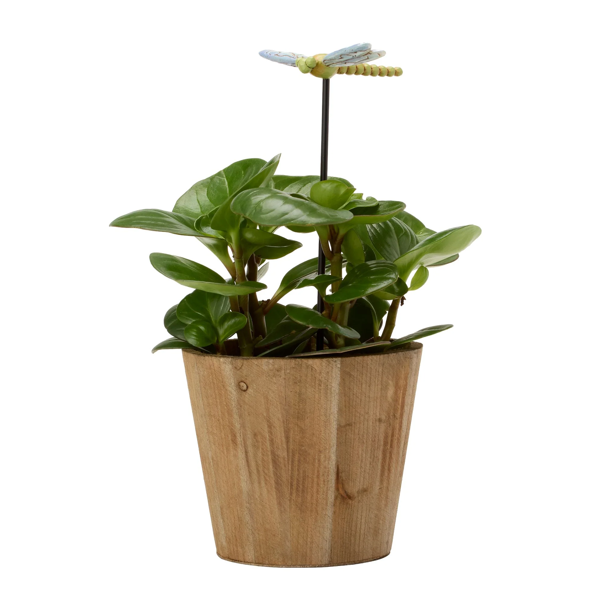 Plant Stake Dragonfly Figurine - Image 10